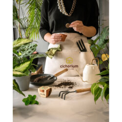 semillas-de-hirevas-aromaticas-para-regalar